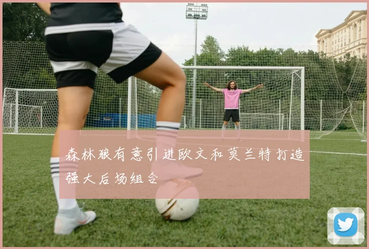 森林狼有意引进欧文和莫兰特打造强大后场组合