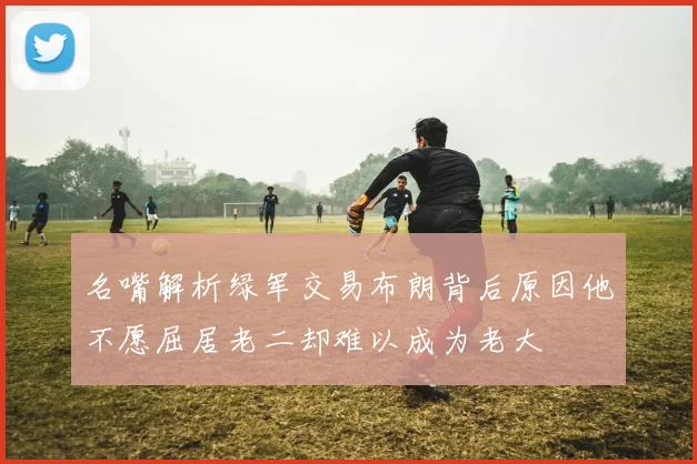 名嘴解析绿军交易布朗背后原因他不愿屈居老二却难以成为老大